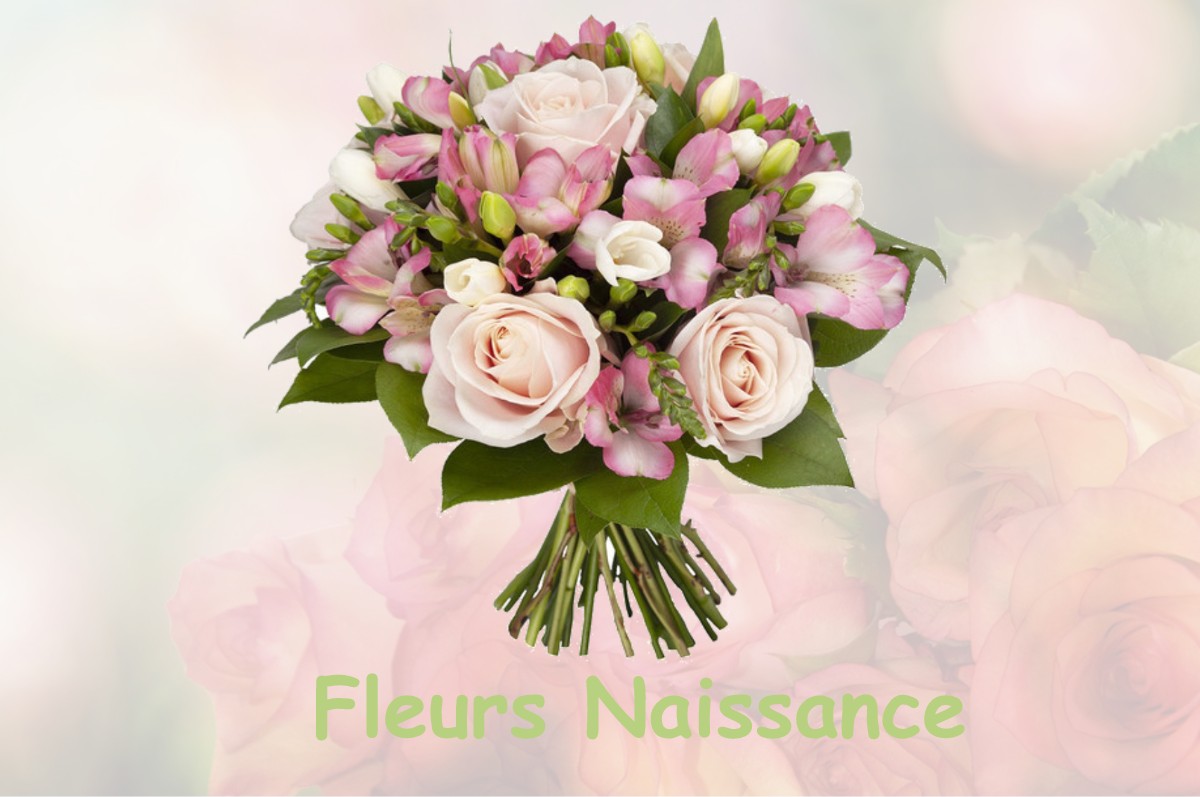 fleurs naissance LA-GOULAFRIERE